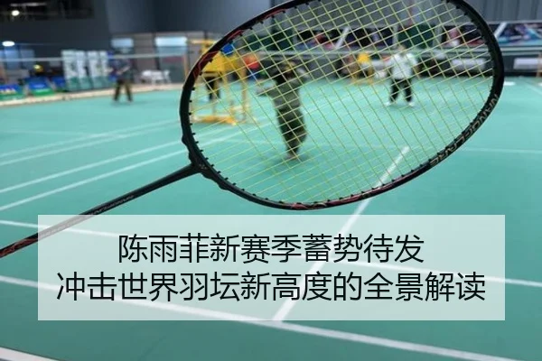 陈雨菲新赛季蓄势待发 冲击世界羽坛新高度的全景解读